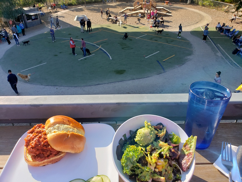 Turkey Sloppy Joe with salad