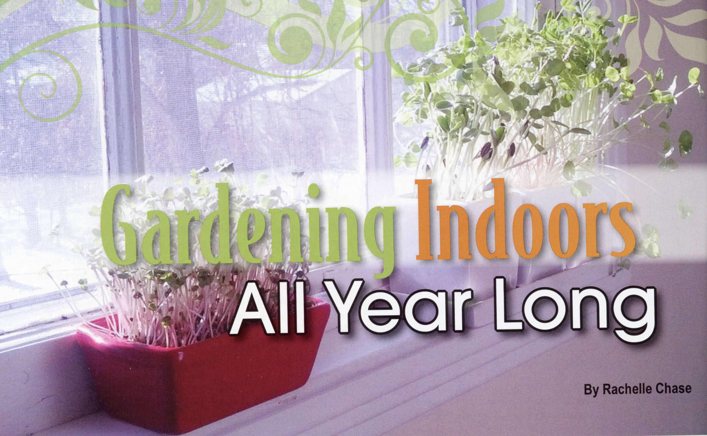 Gardening Indoors article intro